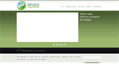 Desktop Screenshot of campoglobal.com